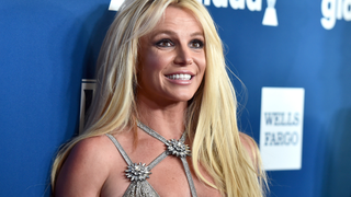 #FreeBritney Is a Bipartisan Issue, Apparently